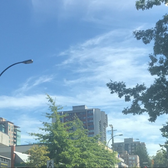 Meet your Posher, Lexi - Picture 1 of 1